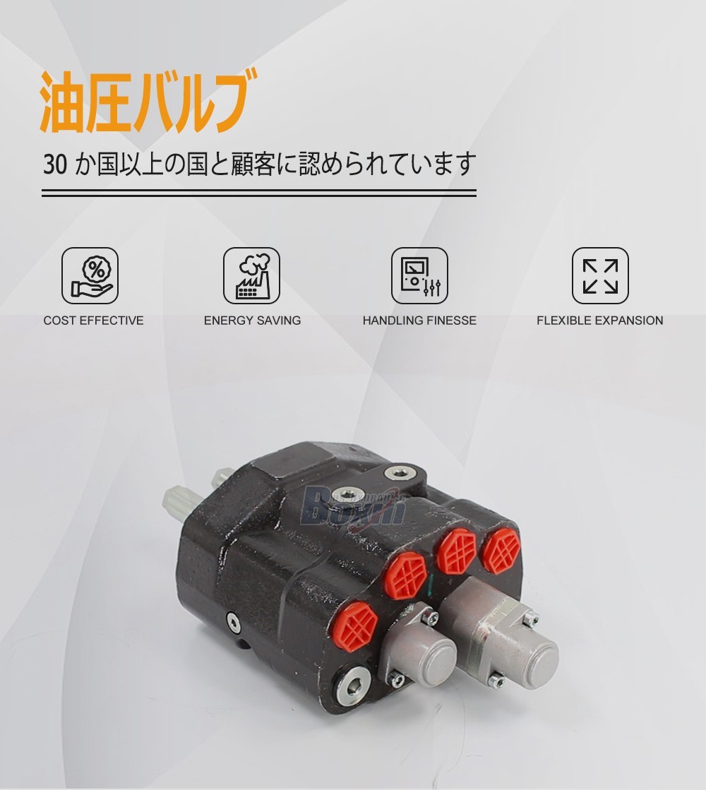 80A Series Monoblock Valve with 2 Spools for Heavy Machinery